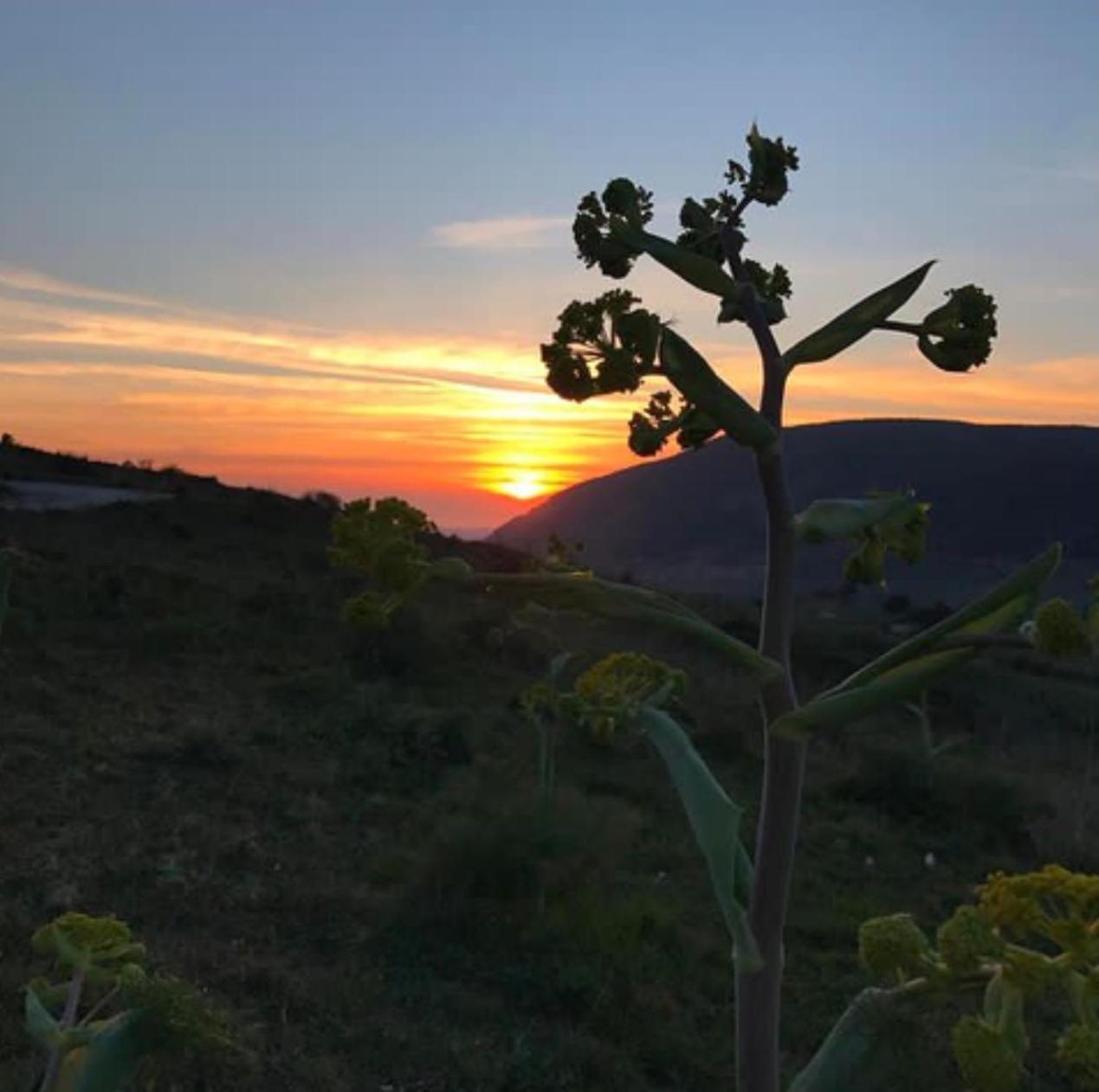 In Sicilia Da Ciro Bed and Breakfast Vita Exteriör bild