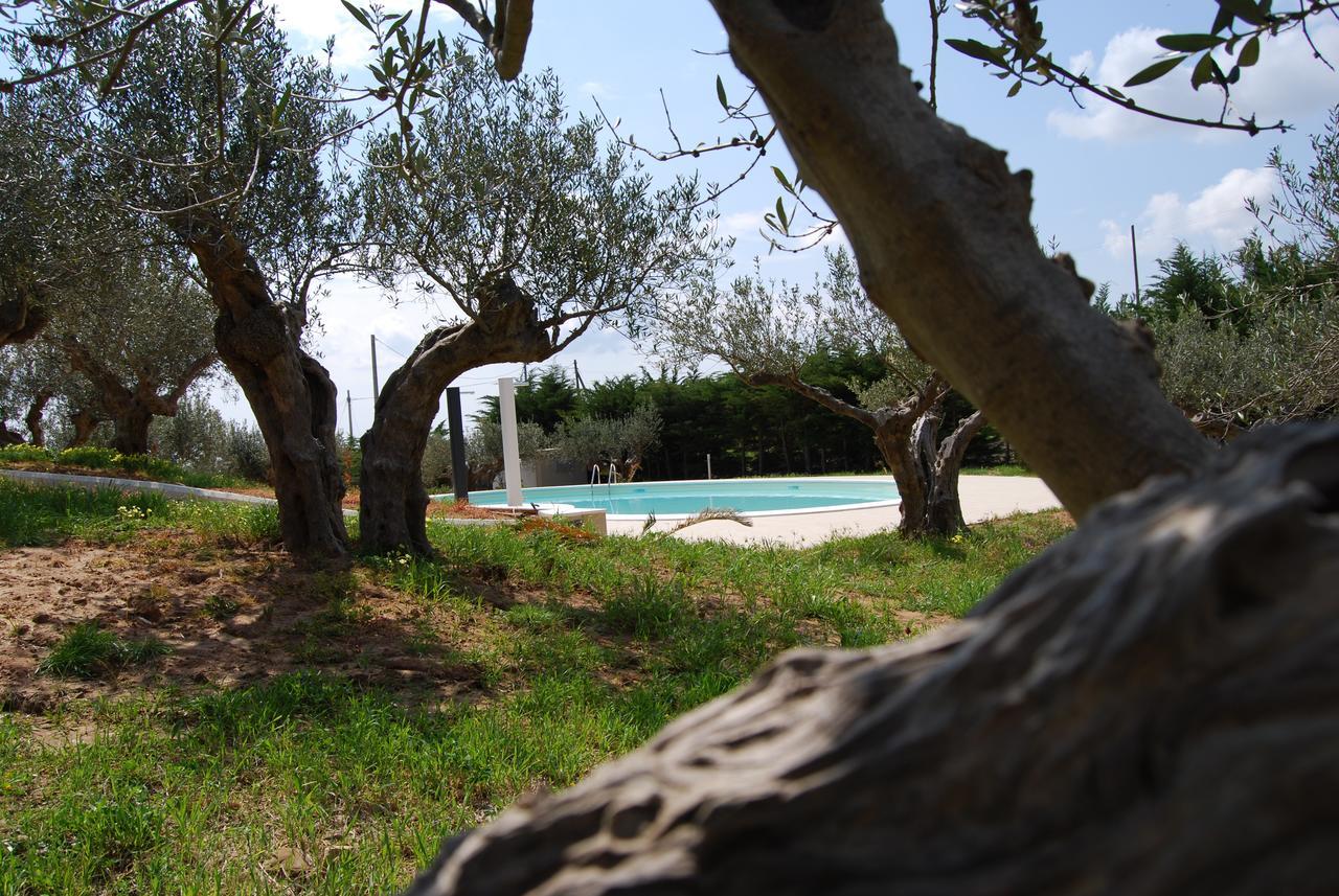 In Sicilia Da Ciro Bed and Breakfast Vita Exteriör bild
